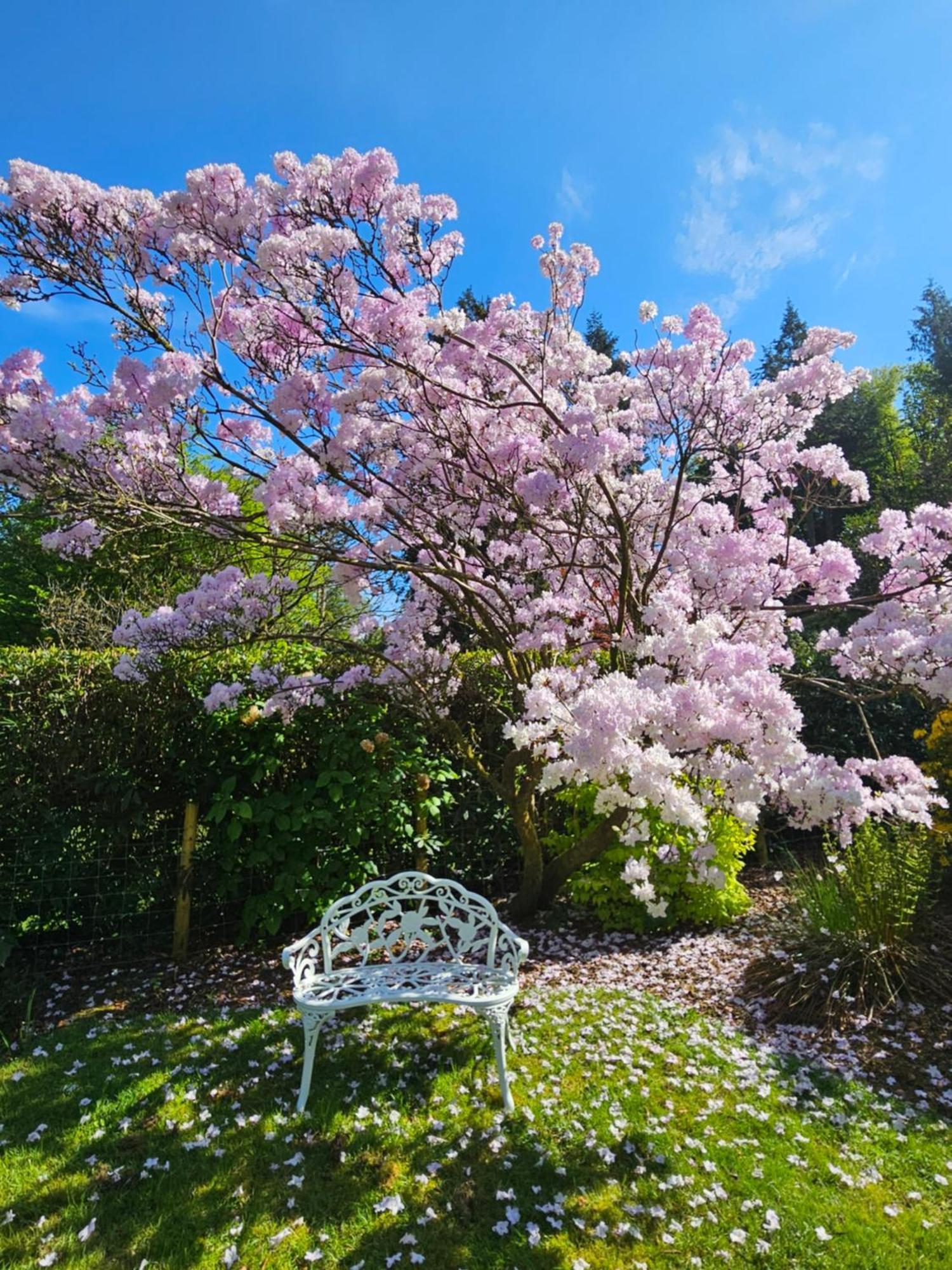 Foxghyll Country House Bed and Breakfast Ambleside Esterno foto